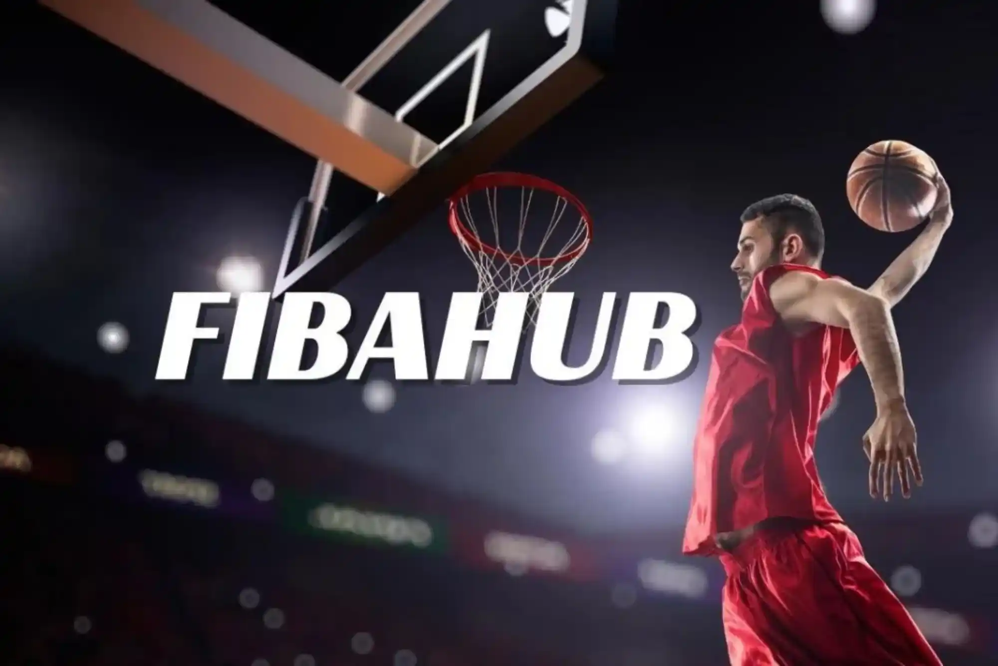 What is Fibahub