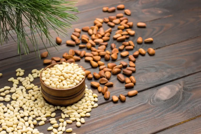 Where Do Pine Nuts Come From