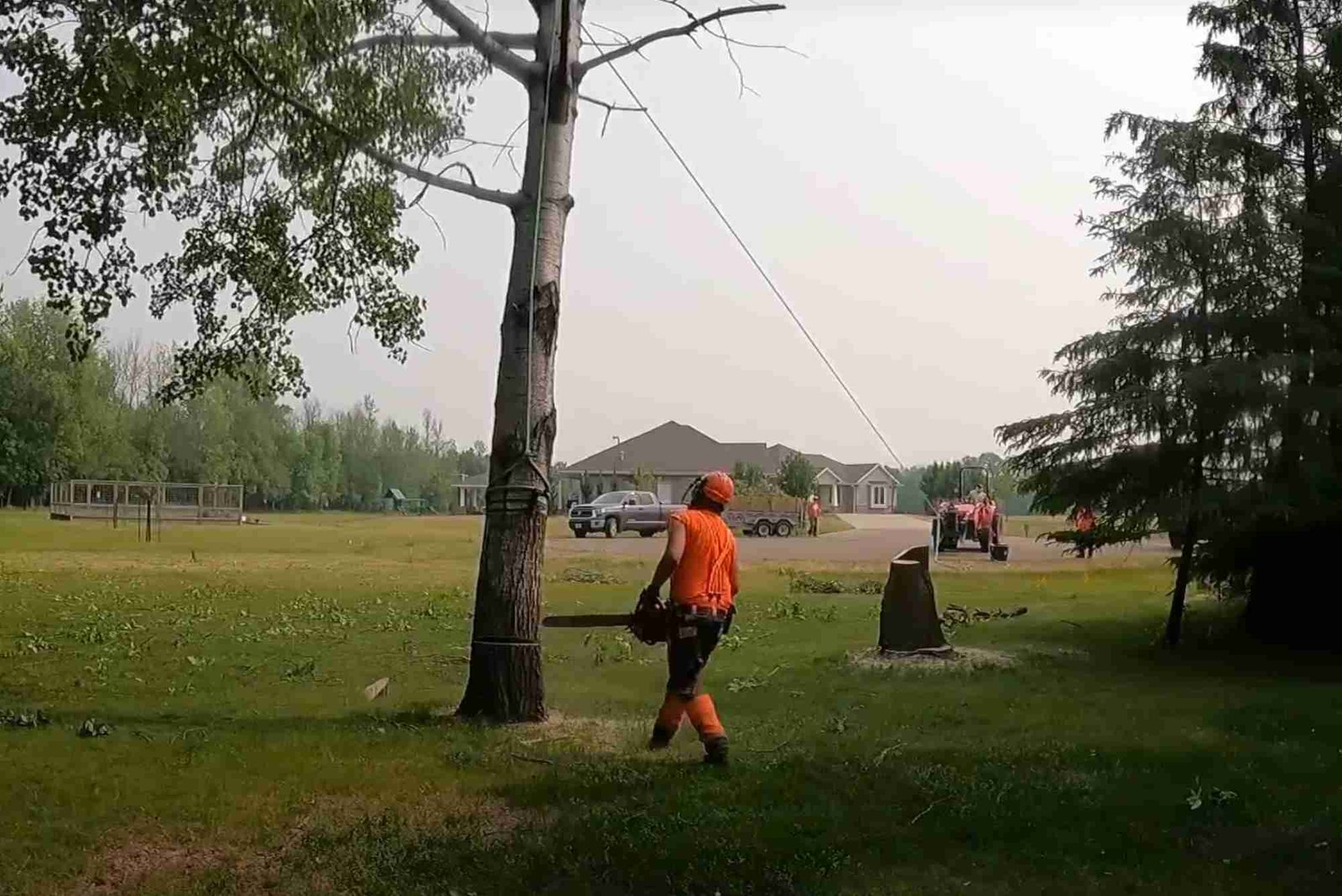 Tree Service in Oak Park, IL